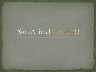 Stop Animal Cruelty!!! 