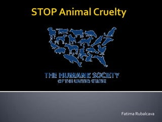 STOP Animal Cruelty Fatima Rubalcava  