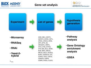 Gene	
  set	
  analysis



                                                       Hypothesis
 Experiment       List of genes
                                                       generation




• Microarray      A2M,	
  ABL1,	
  ADCY5,	
            • Pathway
                  AGPAT2,	
  AIFM1,	
  AKT1,	
  
                  APEX1,	
  APOC3,	
  APOE,	
  
                                                         analysis
• RNASeq          APP,	
  APTX,	
  AR,	
  
                  ARHGAP1,	
  ARNTL,	
  
                  ATF2,	
  ATM,	
  ATP5O,	
  
                                                       • Gene Ontology
• RNAi            ATR,	
  BAX,	
  BCL2,	
  BDNF,	
       enrichment
                  BLM,	
  BMI1,	
  BRCA1,	
  
                  BRCA2,	
  BSCL2,	
  BUB1B,	
           analysis
• Yeast-2-        BUB3,	
  CACNA1A,	
  CAT,	
  
  hybrid          CCNA2,	
  CDC2,	
  CDC42,	
  
                  CDKN2A,	
  CEBPA,	
                  • GSEA
                  CEBPB,	
  CHEK2,	
  CLOCK,	
  
• ...
 
