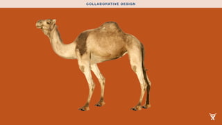 COLLABORATIVE DESIGN 
 