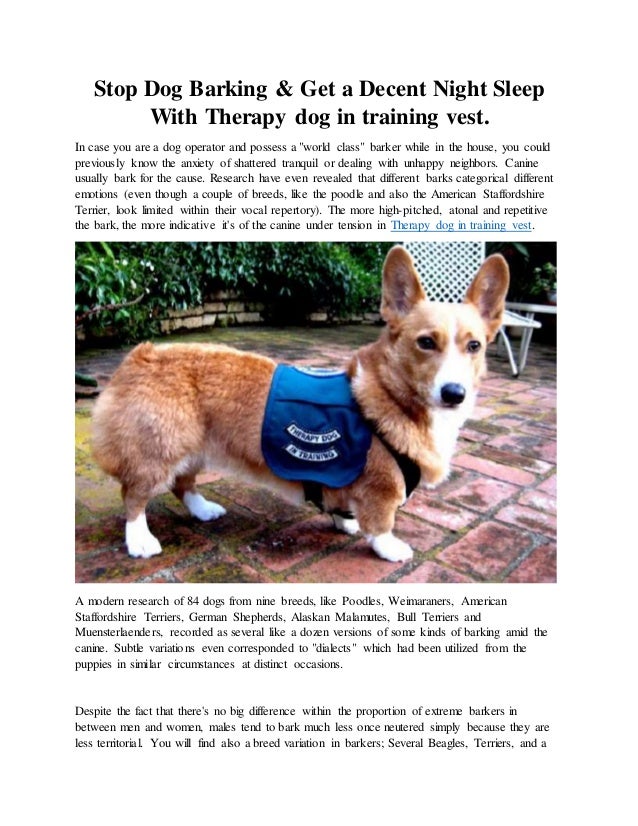 Therapy dog in training vest Clearance