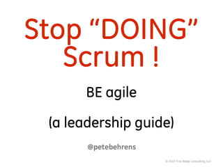© 2013 Trail Ridge Consulting, LLC
Stop “DOING”
Scrum !
BE agile
(a leadership guide)
@petebehrens
 