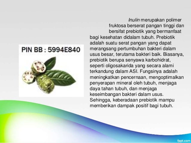 PIN BBM 5994E840, Obat Diet Alami Jeruk Nipis, Obat Diet 