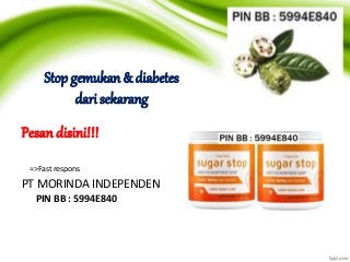 Stop gemukan & diabetes
dari sekarang
Pesan disini!!!
=>Fast respons
PT MORINDA INDEPENDEN
PIN BB : 5994E840
 