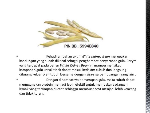 PIN BB 5994E840 Diet Alami Tanpa Obat Pelangsing Cara 