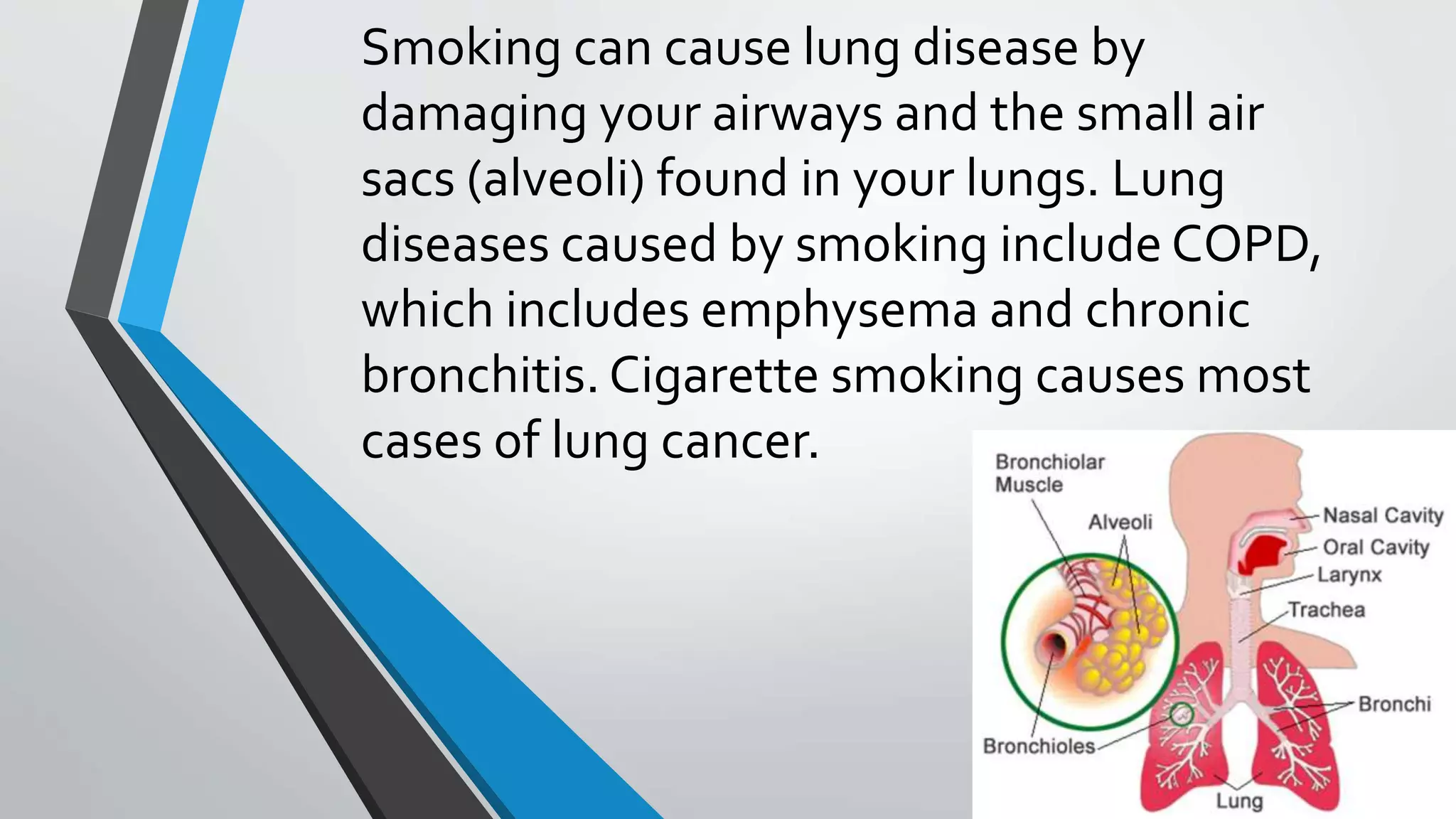 Smoking can cause lung disease by
damaging your airways and the small air
sacs (alveoli) found in your lungs. Lung
diseases caused by smoking include COPD,
which includes emphysema and chronic
bronchitis. Cigarette smoking causes most
cases of lung cancer.
 