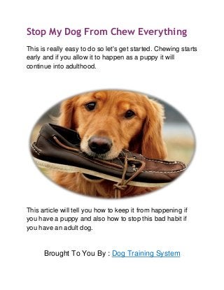Stop My Dog From Chew Everything
This is really easy to do so let's get started. Chewing starts
early and if you allow it to happen as a puppy it will
continue into adulthood.
This article will tell you how to keep it from happening if
you have a puppy and also how to stop this bad habit if
you have an adult dog.
Brought To You By : Dog Training System
 