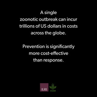 Preventing the next pandemic: a 12-slide primer on emerging zoonotic diseases
