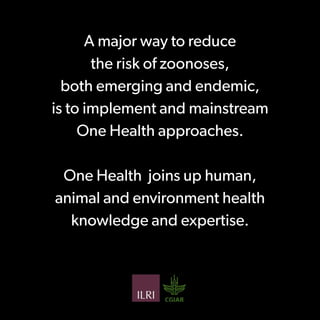 Preventing the next pandemic: a 12-slide primer on emerging zoonotic diseases