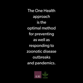 Preventing the next pandemic: a 12-slide primer on emerging zoonotic diseases