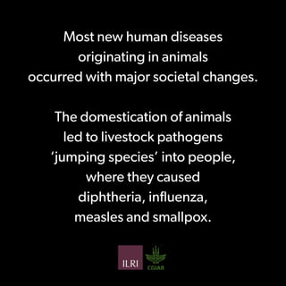 Preventing the next pandemic: a 12-slide primer on emerging zoonotic diseases