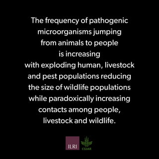 Preventing the next pandemic: a 12-slide primer on emerging zoonotic diseases