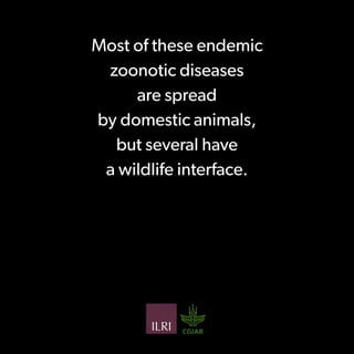Preventing the next pandemic: a 12-slide primer on emerging zoonotic diseases