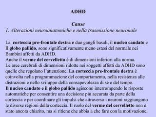 ADHD
Cause
1. Alterazioni neuroanatomiche e nella trasmissione neuronale
La corteccia pre-frontale destra e due gangli basali, il nucleo caudato e
Il globo pallido, sono significativamente meno estesi del normale nei
Bambini affetti da ADHD.
Anche il verme del cervelletto è di dimensioni inferiori alla norma.
Le aree cerebrali di dimensioni ridotte nei soggetti affetti da ADHD sono
quelle che regolano l’attenzione. La corteccia pre-frontale destra è
coinvolta nella programmazione del comportamento, nella resistenza alle
distrazioni e nello sviluppo della consapevolezza di sé e del tempo.
Il nucleo caudato e il globo pallido agiscono interrompendo le risposte
automatiche per consentire una decisione più accurata da parte della
corteccia e per coordinare gli impulsi che attraverso i neuroni raggiungono
le diverse regioni della corteccia. Il ruolo del verme del cervelletto non è
stato ancora chiarito, ma si ritiene che abbia a che fare con la motivazione.
 