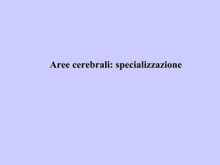 Aree cerebrali: specializzazione
 