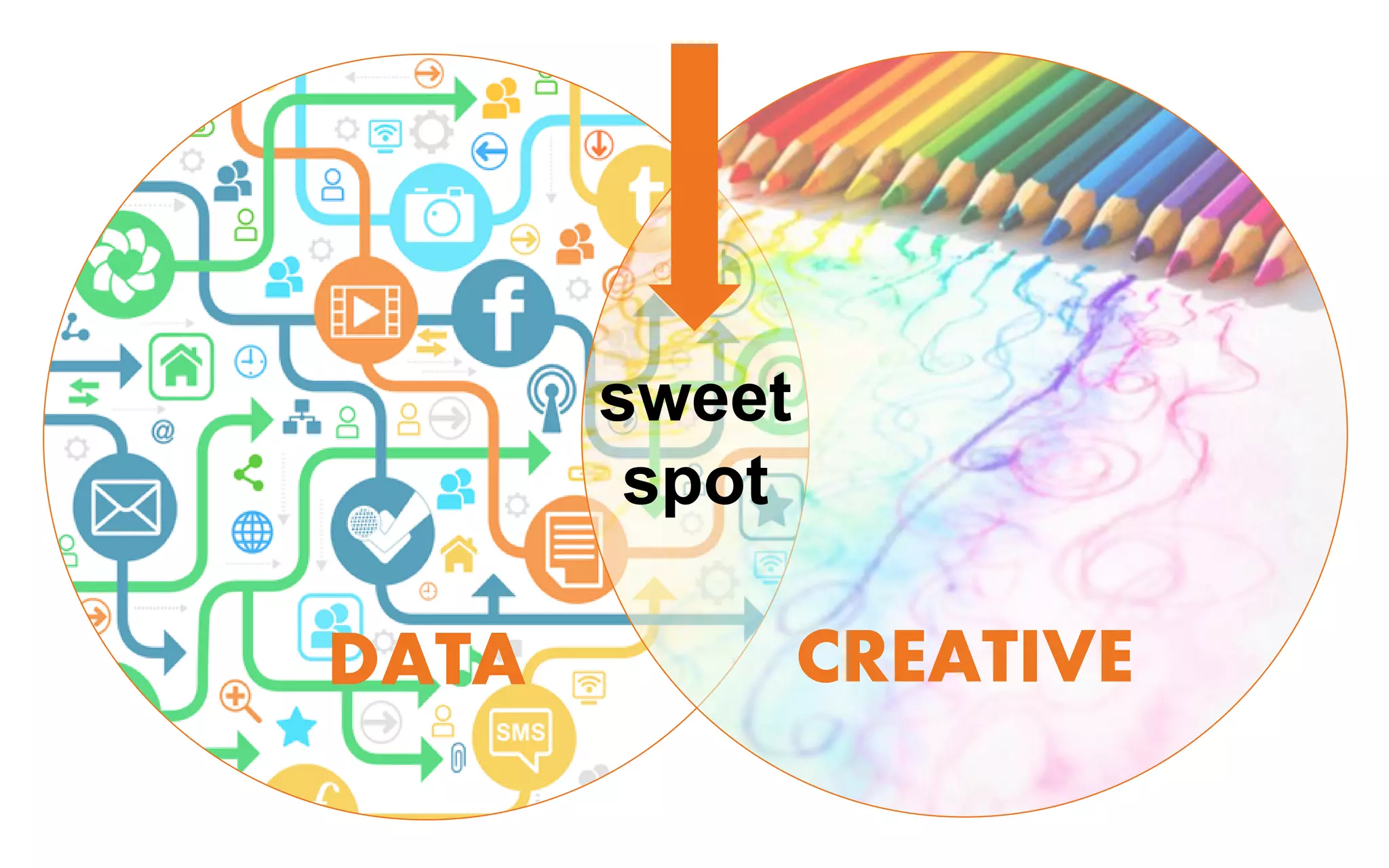 DATA CREATIVE
sweet
spot
 