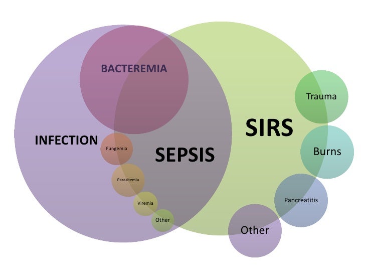 The STOP Sepsis Bundle