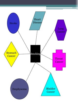 Stroke

Heart
Disease
Lung
Cancer

Stomach
Cancer

Emphysema

Smoking
Throat
Cancer

Bladder
Cancer

 