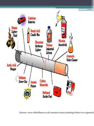 (Source: www.willwilliams.co.uk/common-issues/smoking/whats-in-a-cigarette)

 