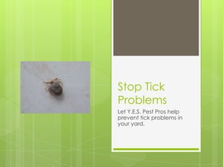 Stop Tick Problems Let Y.E.S. Pest Pros help prevent tick problems in your yard. 