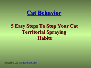 Cat Behavior   5 Easy Steps To Stop Your Cat  Territorial Spraying  Habits 