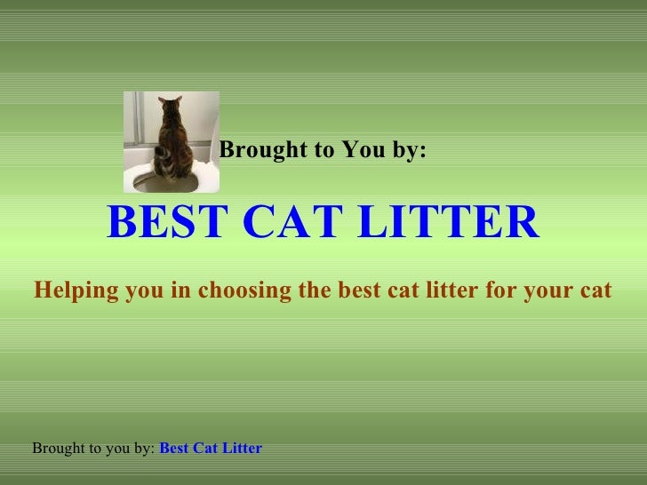 Stop Urine Spraying In Cats
