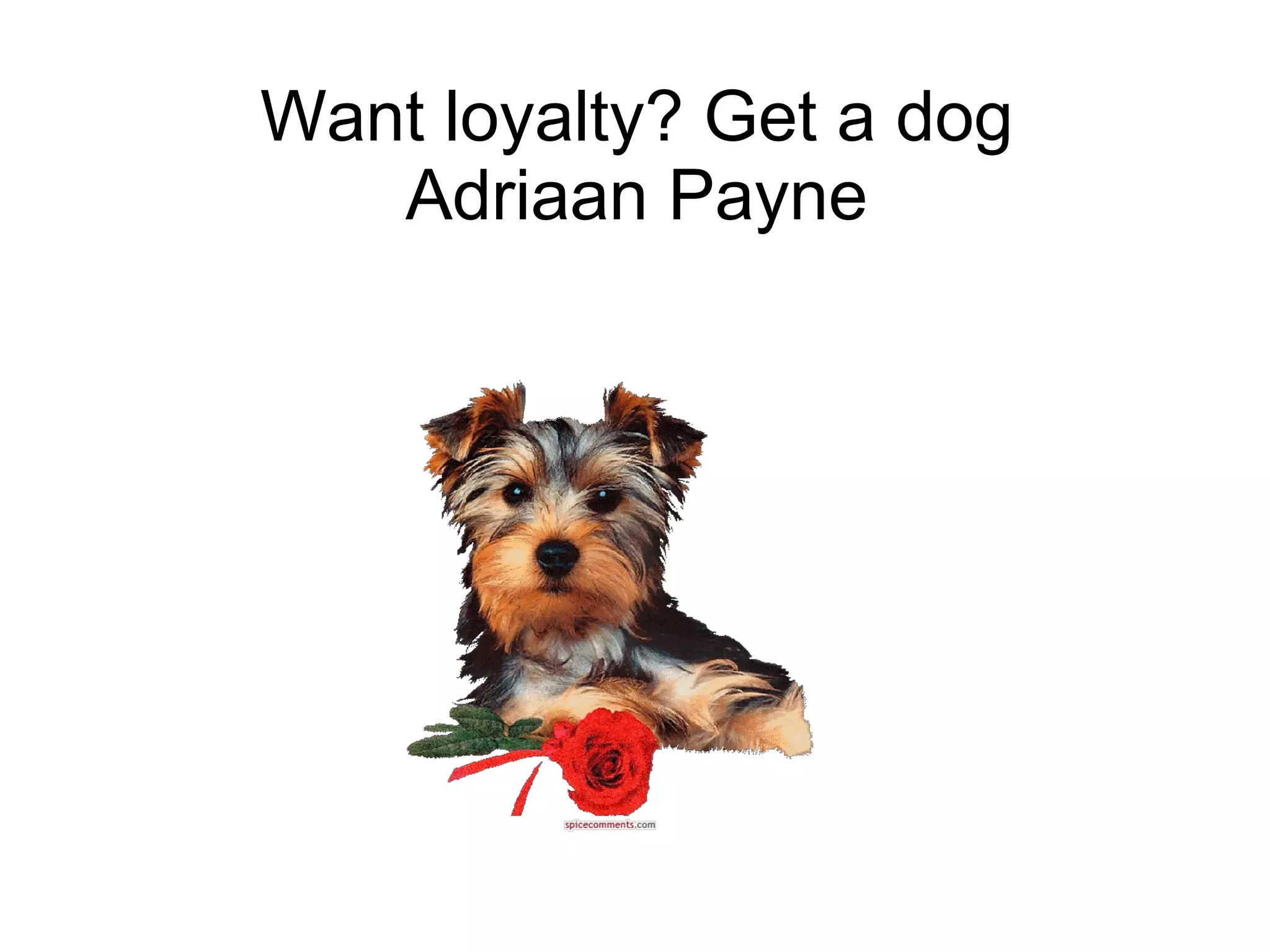 Want loyalty? Get a dog Adriaan Payne 