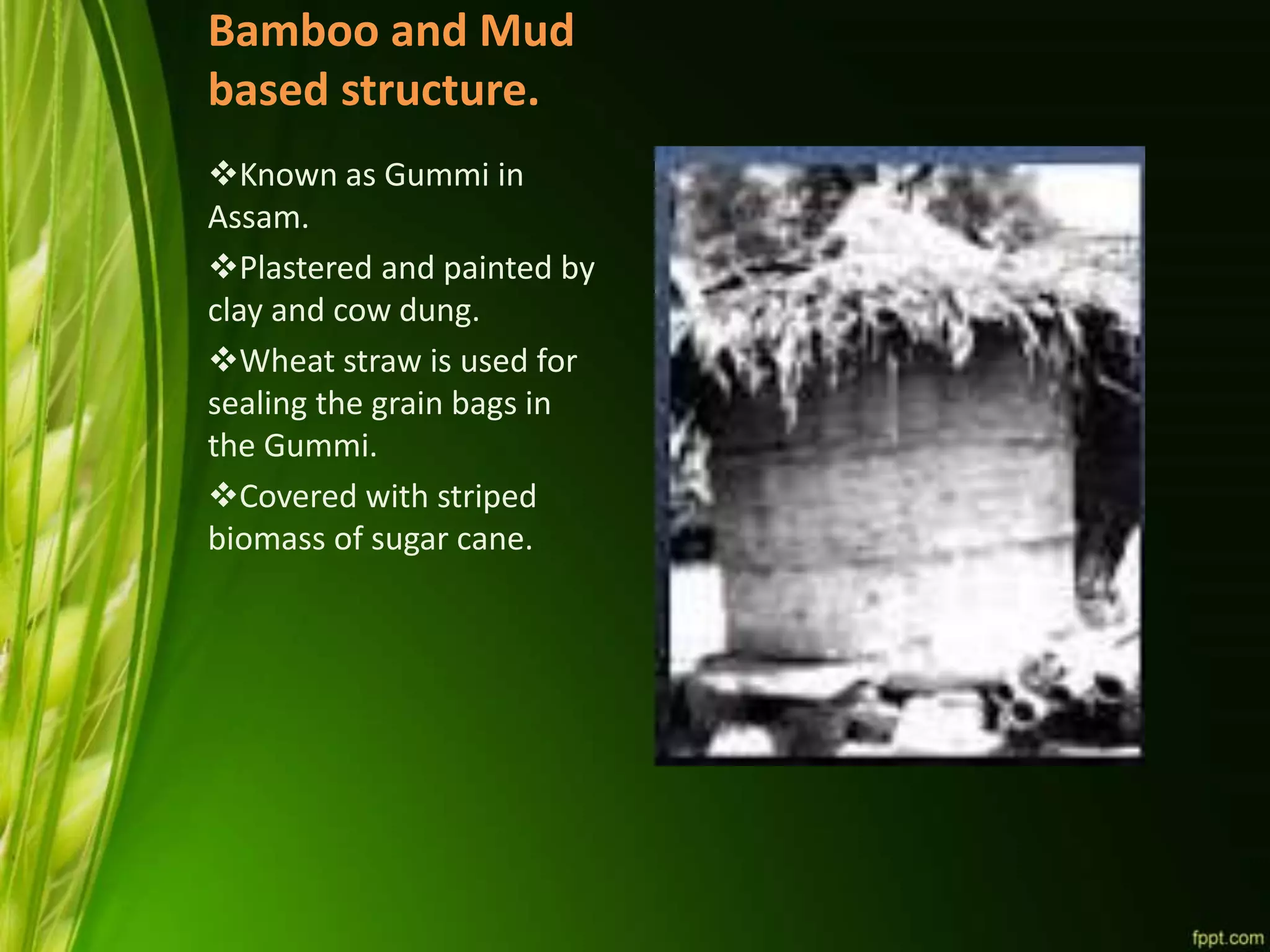 Bamboo and Mud
based structure.
Known as Gummi in
Assam.
Plastered and painted by
clay and cow dung.
Wheat straw is used for
sealing the grain bags in
the Gummi.
Covered with striped
biomass of sugar cane.
 