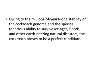 • Owing to the millions-of-years-long stability of
  the cockroach genome and the species
  tenacious ability to survive ice ages, floods,
  and other earth-altering natural disasters, the
  cockroach proves to be a perfect candidate.
 