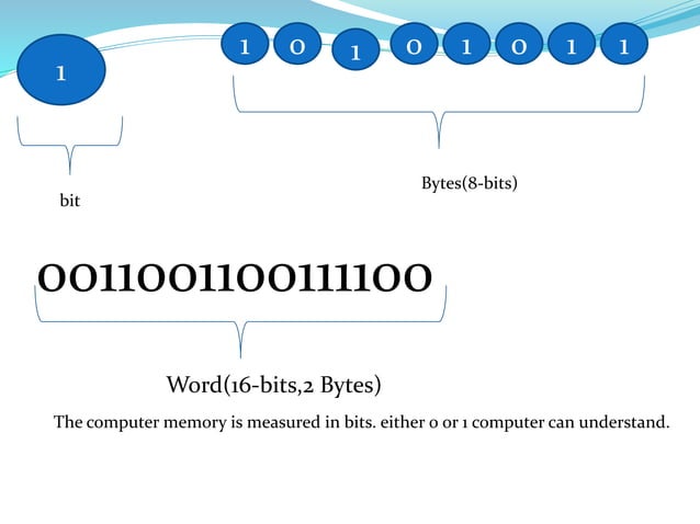 Storage and memory devices grade 4 | PPTX