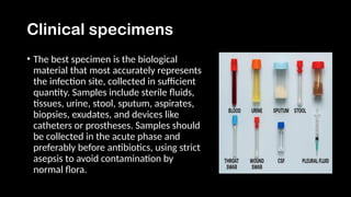 Comprehensive Guide to Storage and Processing of Clinical Specimens in ...