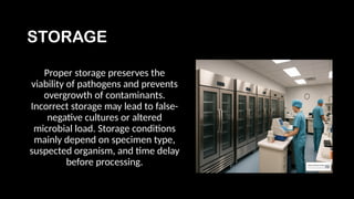 Comprehensive Guide to Storage and Processing of Clinical Specimens in ...