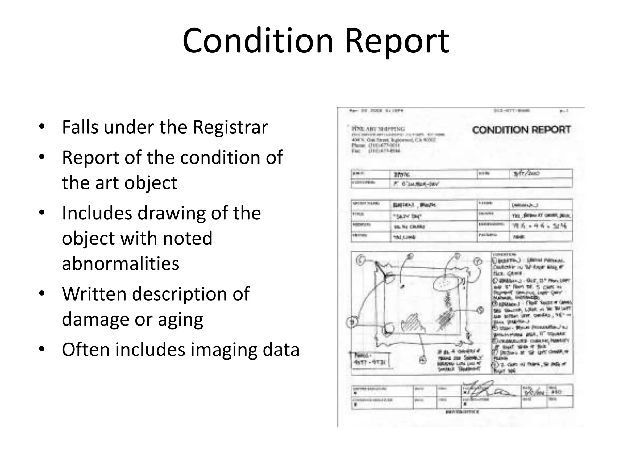 Condition ReportFalls under the RegistrarReport of the condition of the art objectIncludes drawing of the object with noted abnormalitiesWritten description of damage or agingOften includes imaging data