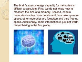 Memory Storage Capacity of Human Brain | PPT