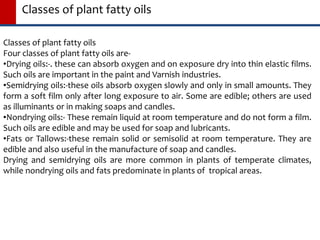 Classes of plant fatty oils
Four classes of plant fatty oils are-
•Drying oils:-. these can absorb oxygen and on exposure dry into thin elastic films.
Such oils are important in the paint and Varnish industries.
•Semidrying oils:-these oils absorb oxygen slowly and only in small amounts. They
form a soft film only after long exposure to air. Some are edible; others are used
as illuminants or in making soaps and candles.
•Nondrying oils:- These remain liquid at room temperature and do not form a film.
Such oils are edible and may be used for soap and lubricants.
•Fats or Tallows:-these remain solid or semisolid at room temperature. They are
edible and also useful in the manufacture of soap and candles.
Drying and semidrying oils are more common in plants of temperate climates,
while nondrying oils and fats predominate in plants of tropical areas.
Classes of plant fatty oils
 