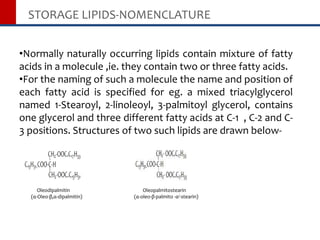 STORAGE LIPIDS-NOMENCLATURE
•Normally naturally occurring lipids contain mixture of fatty
acids in a molecule ,ie. they contain two or three fatty acids.
•For the naming of such a molecule the name and position of
each fatty acid is specified for eg. a mixed triacylglycerol
named 1-Stearoyl, 2-linoleoyl, 3-palmitoyl glycerol, contains
one glycerol and three different fatty acids at C-1 , C-2 and C-
3 positions. Structures of two such lipids are drawn below-
Oleodipalmitin Oleopalmitostearin
(α-Oleo-β,α-dipalmitin) (α-oleo-β-palmito -α/-stearin)
 