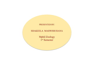 PRESENTED BY:
SHAKEELA MAHWISH RANA
Mphil Zoology
1st Semester
 
