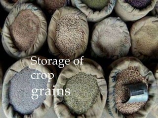 Storage of
crop
grains
 