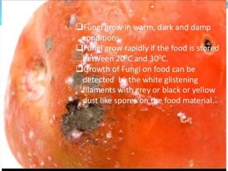 Storage of food