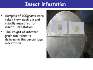 Insect infestation
 Samples of 100grams were
taken from each bin and
visually inspected for
insect infestation .
 The weight of infested
grain was taken to
determine the percentage
infestation
 