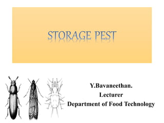 How to Rodent-Proof Your Storage - Pest Detective