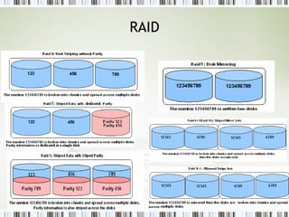 RAID 