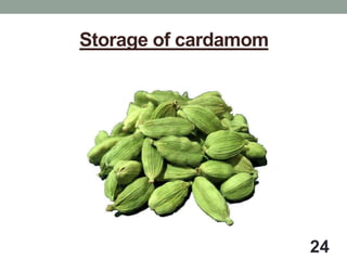 Storage structures | PPTX