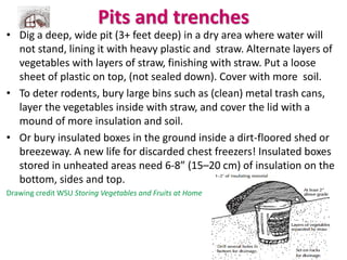 Pits and trenches
• Dig a deep, wide pit (3+ feet deep) in a dry area where water will
not stand, lining it with heavy pla...