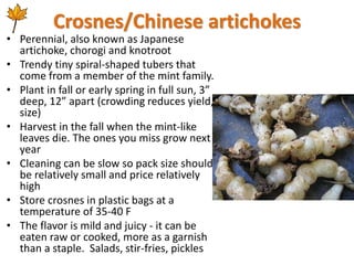 Crosnes/Chinese artichokes
• Perennial, also known as Japanese
artichoke, chorogi and knotroot
• Trendy tiny spiral-shaped...