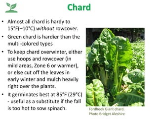Chard
• Almost all chard is hardy to
15°F(–10°C) without rowcover.
• Green chard is hardier than the
multi-colored types
•...
