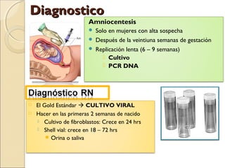 Amniocentesis
 Solo en mujeres con alta sospecha
 Después de la veintiuna semanas de gestación
 Replicación lenta (6 – 9 semanas)
 Cultivo
 PCR DNA
 El Gold Estándar  CULTIVO VIRAL
 Hacer en las primeras 2 semanas de nacido
 Cultivo de fibroblastos: Crece en 24 hrs
 Shell vial: crece en 18 – 72 hrs
 Orina o saliva
DiagnosticoDiagnostico
 