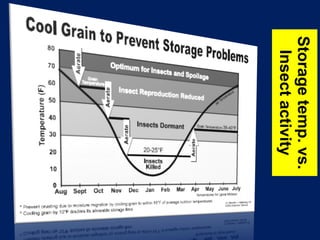 Storage temp. vs. Insect activity 
