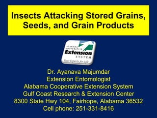 Insects Attacking Stored Grains, Seeds, and Grain Products Dr. Ayanava Majumdar Extension Entomologist Alabama Cooperative Extension System Gulf Coast Research & Extension Center 8300 State Hwy 104, Fairhope, Alabama 36532 Cell phone: 251-331-8416 