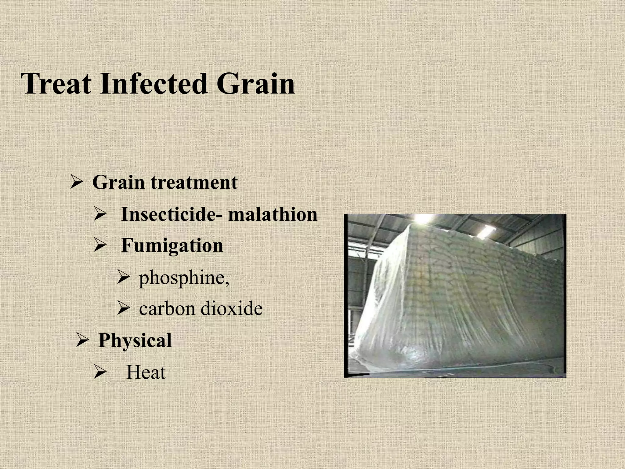 Stored grain pests | PPTX